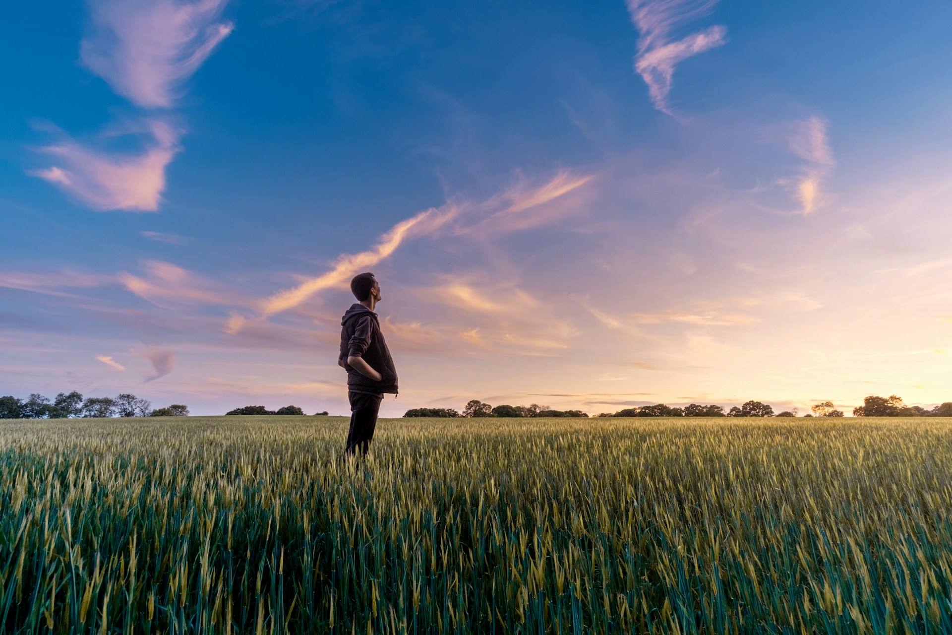 The Future of Food Stamps: Trends and Predictions